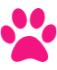 Animal_care icon